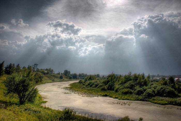 Прислів'я і приказки про природу