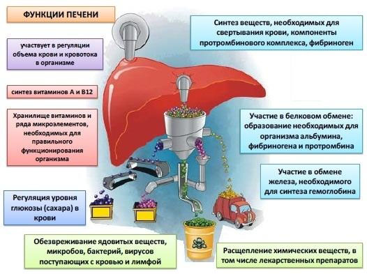 Состав протеинов