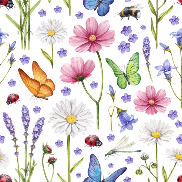 Дикие цветы и насекомые иллюстрации. Акварель лета шаблон — стоковое фото