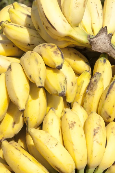 Детские бананы — стоковое фото