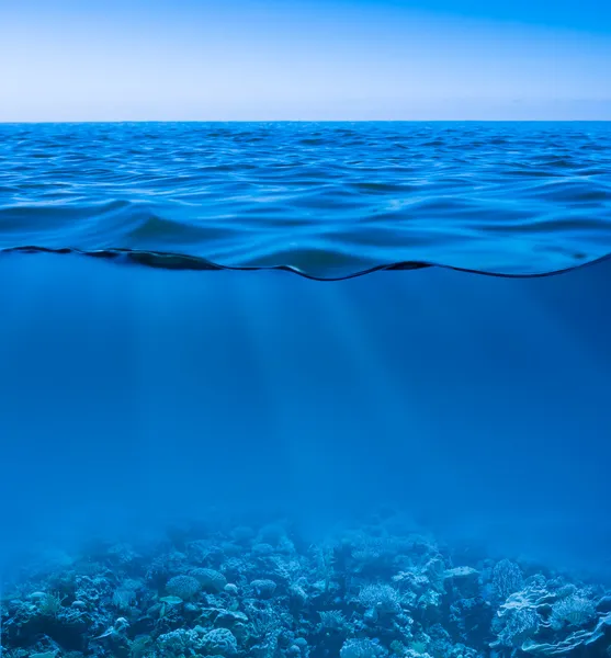 Все еще успокойте поверхность морской воды с ясным небом и подводным worl — стоковое фото
