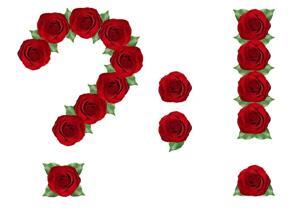 Знаки пунктуации, сделанные из красных роз и зеленые листья — стоковое фото