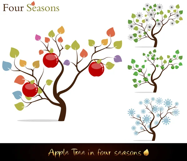 Яблоня четыре сезона — стоковый вектор