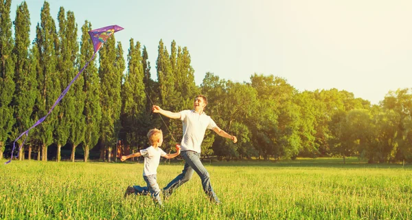 Папа и сын ребенок, летающих змей в природе летом — стоковое фото