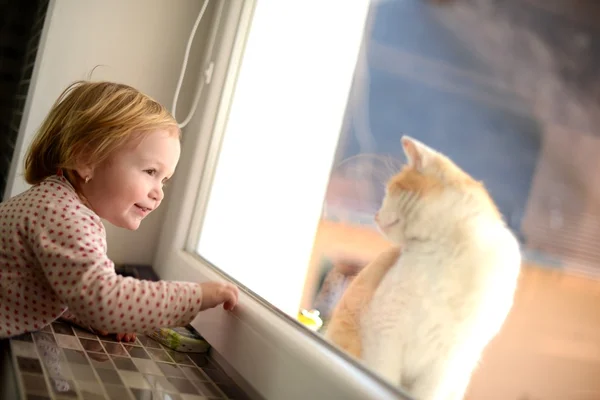 Маленькая девочка, глядя через окно на кота — стоковое фото