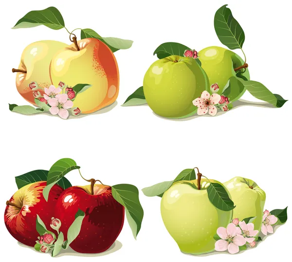 Набор спелых яблок — стоковый вектор