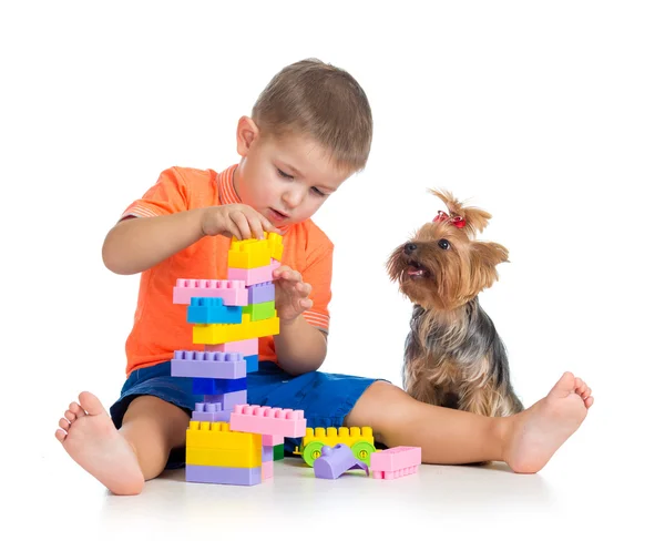 Ребенок играет с игрушками строительных блоков. Йорк терьер Собака сижу — стоковое фото