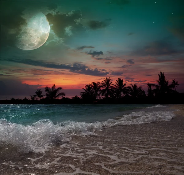 Луна, океан и пальмами — стоковое фото