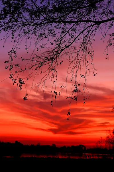 Красивые закаты — стоковое фото