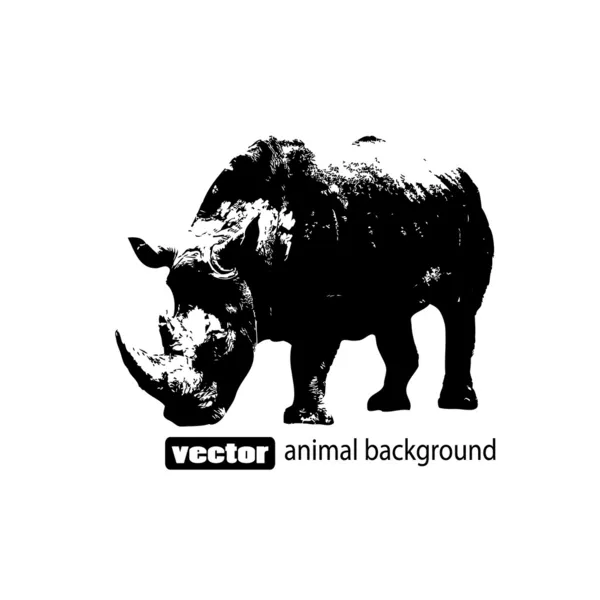 Векторная иллюстрация носорога — стоковый вектор