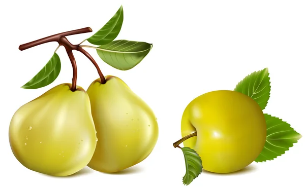 Яблоко и груши — стоковый вектор