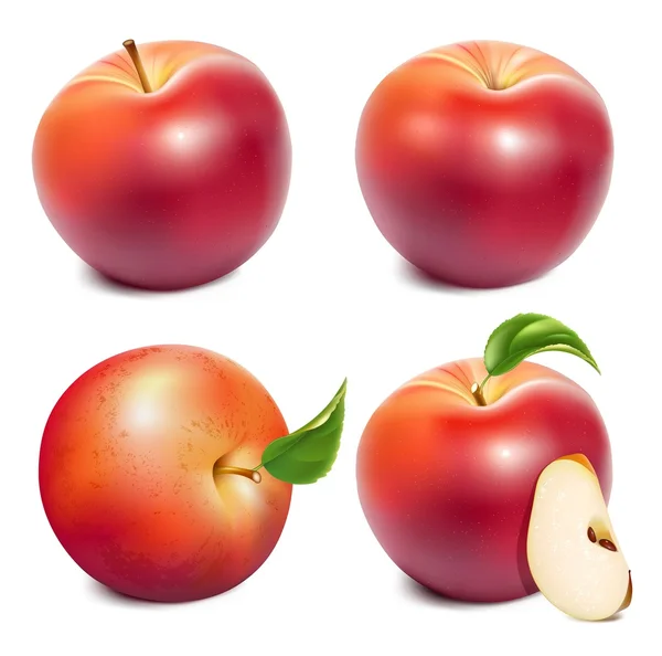 Красные спелые яблоки — стоковый вектор