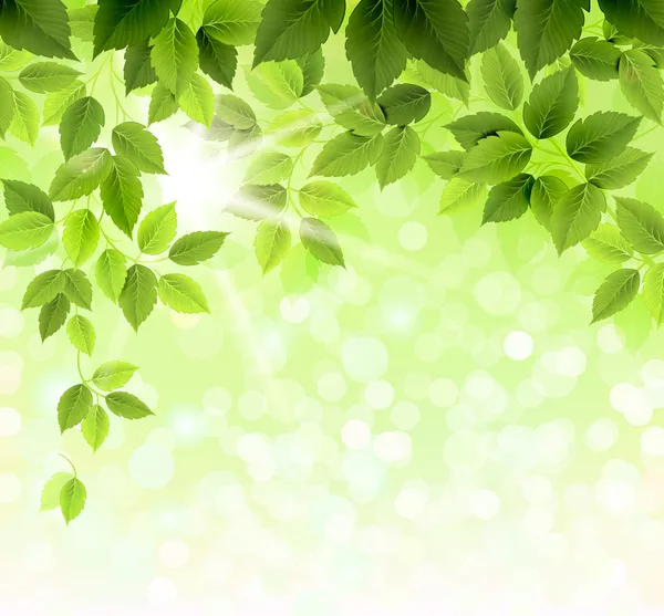 Летнее отделение со свежими зелеными листьями — стоковый вектор