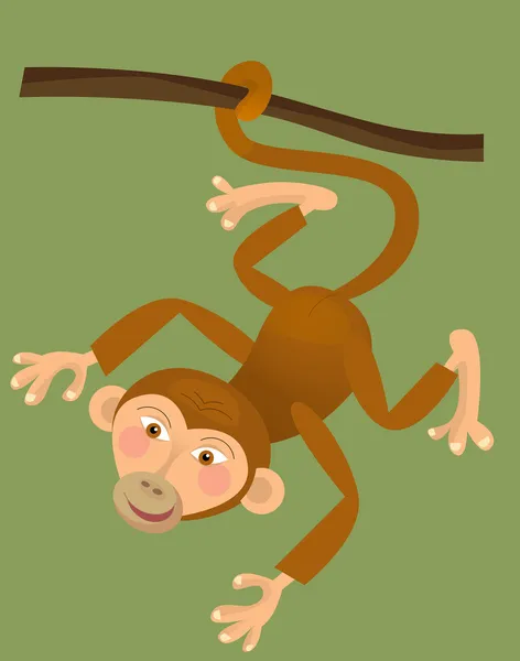 Мультфильм обезьяна - обезьяна — стоковое фото