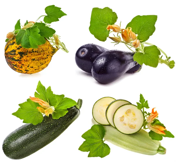 Коллекция свежих овощей: кабачки, дыни, баклажаны, костного мозга с листьями и цветами, изолированные на белом фоне — стоковое фото