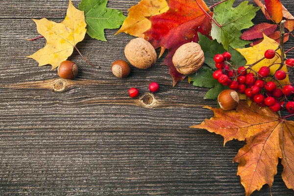 Осенние листья и орех по деревянному фону структуры с пространством копии — стоковое фото