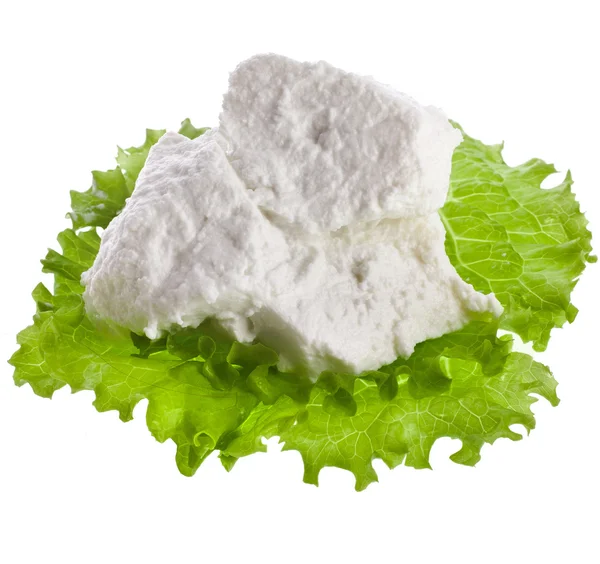 Сыр рикотта с листьями салата — стоковое фото