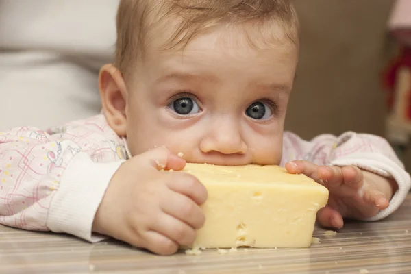 Семь месячный ребенок ест большой кусок сыра — стоковое фото