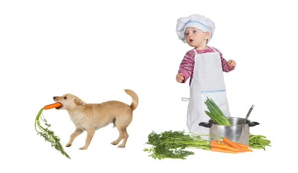Милый ребенок шеф-повар и воровство собачку — стоковое фото