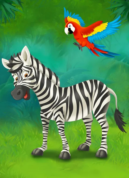 Мультфильм тропических или safari. Зебра и попугай — стоковое фото