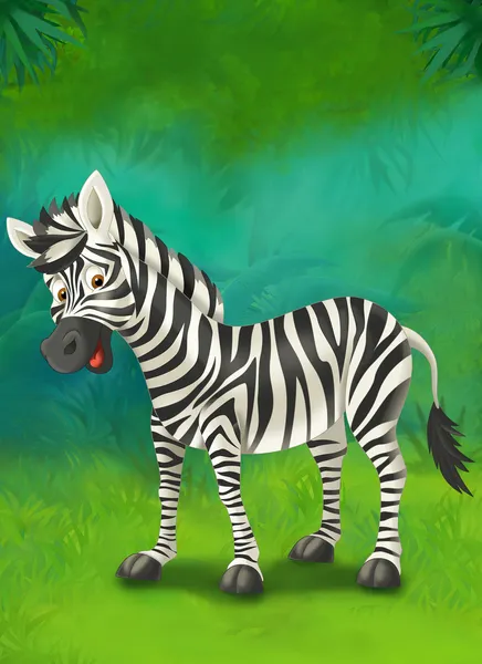 Мультфильм тропических или safari. Зебра — стоковое фото