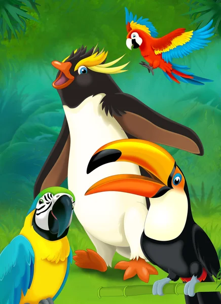 Мультфильм тропический. Пингвин и попугаи — стоковое фото