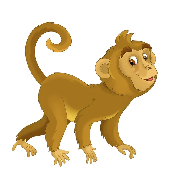 Иллюстрация джунгли - сафари - мультфильм для детей — стоковое фото