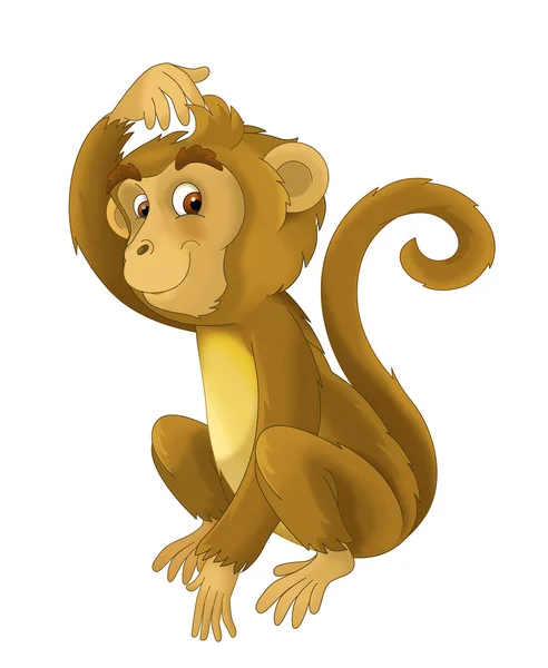 Иллюстрация джунгли - сафари - мультфильм для детей — стоковое фото
