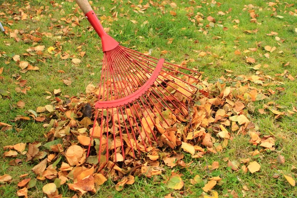Сгребать листья с осени Сад — стоковое фото