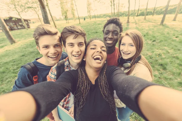 Группа многоэтнических подростков, принимая selfie в парке — стоковое фото