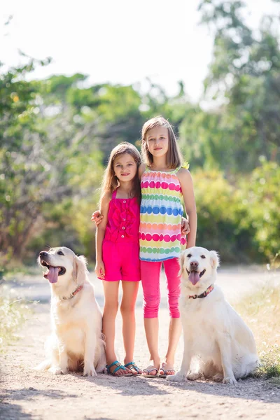 Две сестры и прогулки с собаками в зеленом парке, в летнее время — стоковое фото