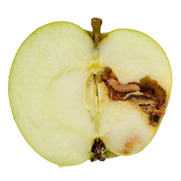Apple еды червя, изолированные на белом фоне — стоковое фото
