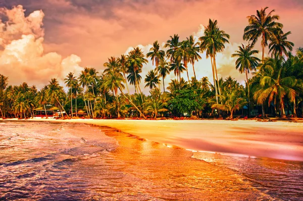 Красивый тропический пляж с пальмами на закате — стоковое фото