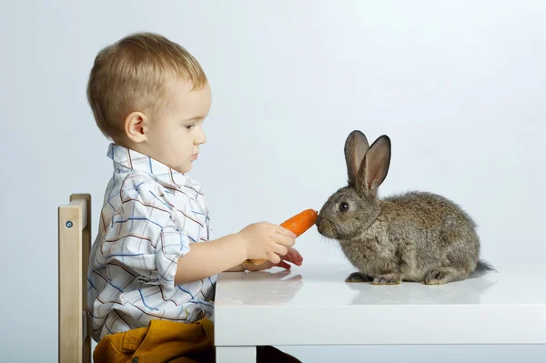 Маленький мальчик, кормления кролик с морковкой — стоковое фото