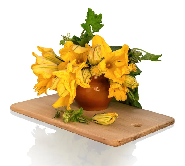 Букет цветов тыквы в глиняном горшочке — стоковое фото