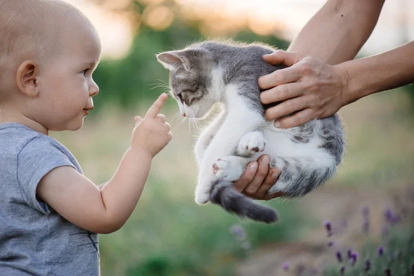 Ребенок, играя с кошкой в саду — стоковое фото