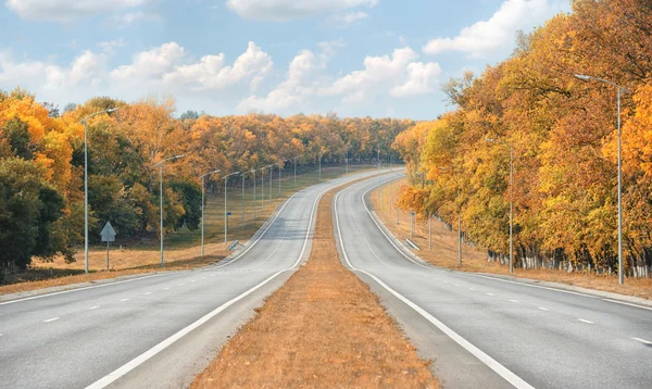Пустая дорога в осень — стоковое фото