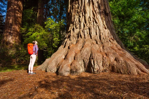 Женщина стоит возле большое дерево — стоковое фото
