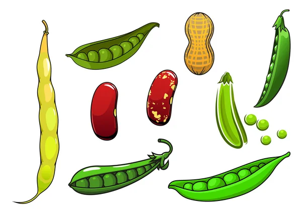 Мультфильм свежие овощи и бобовые — стоковый вектор