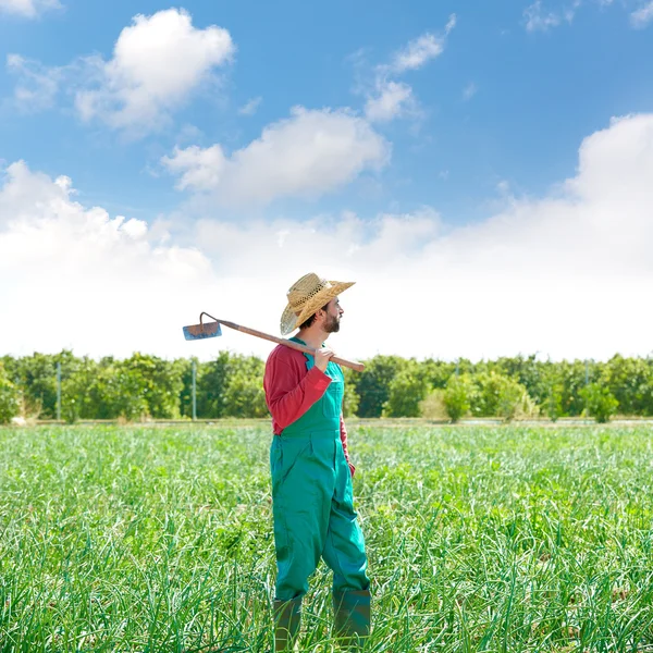 Фермер человек с мотыгой, глядя на его поле — стоковое фото