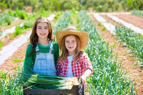 Литт детские фермер девушки в саду урожай лука — стоковое фото