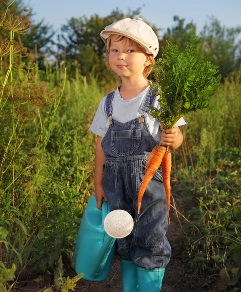Мальчик с морковкой и лейкой — стоковое фото