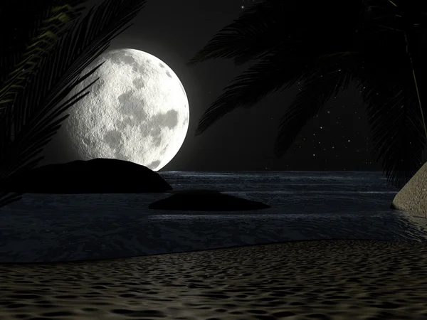 Тропический пляж в ночном лунном свете, с пальмами — стоковое фото