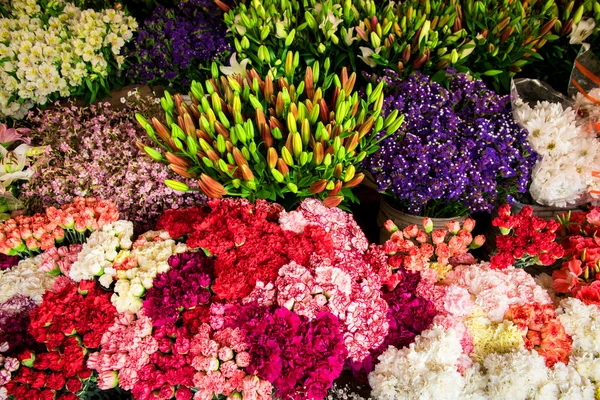 Фон различных красочных кораллов — стоковое фото