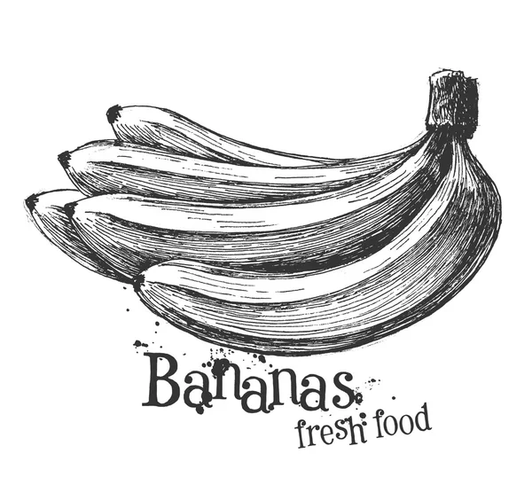 Бананы на белом фоне. Эскиз — стоковое фото