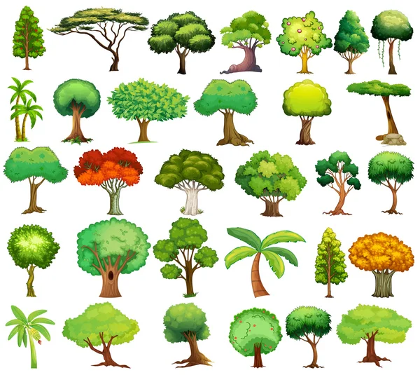 Набор деревьев — стоковый вектор