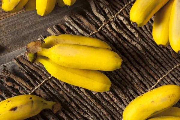 Сырые органические Baby желтые бананы — стоковое фото