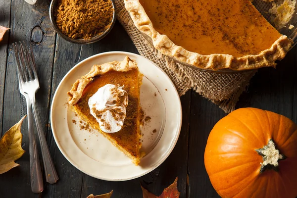 Домашний тыквенный пирог для thanksigiving — стоковое фото