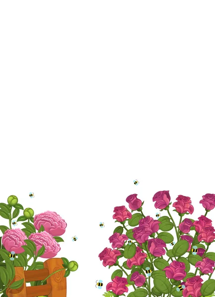 Мультфильм рамка с розами - изолированные — стоковое фото