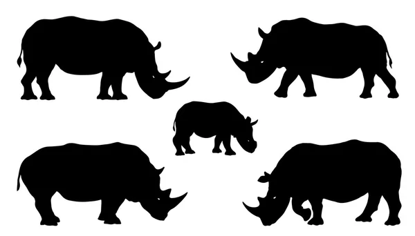 Носорог силуэты — стоковый вектор